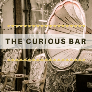 vignette the curious bar